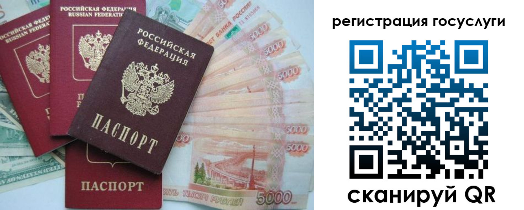 прописка иностранных граждан в Заозёрске
